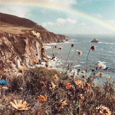海洋元素中文版游戏(eoceanfree)下载
